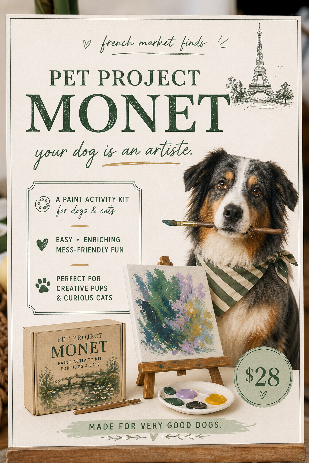 Pet Paint Kit